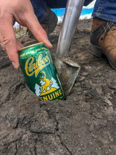 PWB’s reforestation program continues in the Prince George area